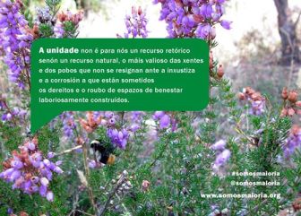 10547571_350495785100941_8175809399729178912_n